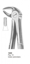  Fig. 13 lower premolars 